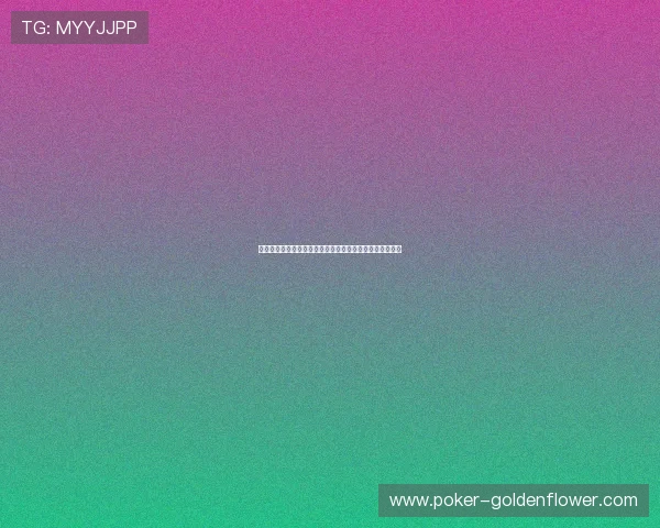 女排主场论坛热议赛事发展与球迷互动共建体育文化新生态